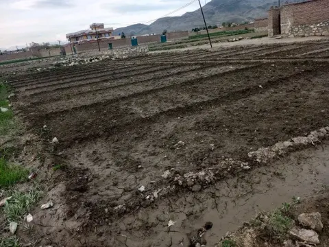 7 Biswa Land for Sale in Charasiab, Kabul