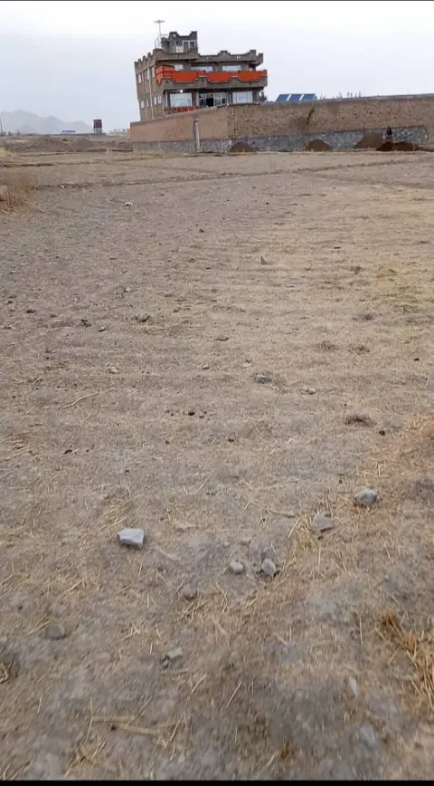 Land for sale, 5 biswa (500 m²), Du Sarka, Paghman