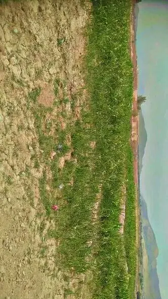 Farm land for sale, 5 jerib, Deh Sabz
