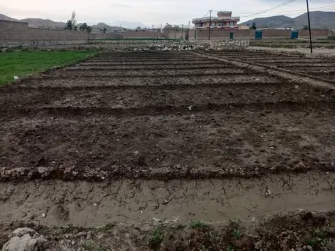 Corner land for sale, 7 biswa, Khairabad, Char Asiab, Kabul