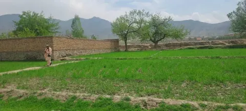4 Biswa Land, District 7, Kabul