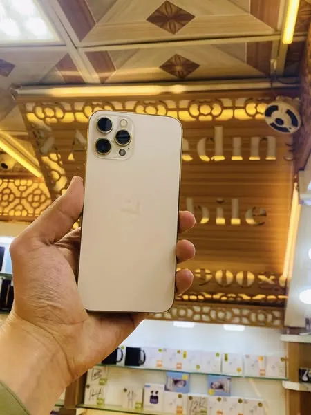 iPhone 12 Pro Max