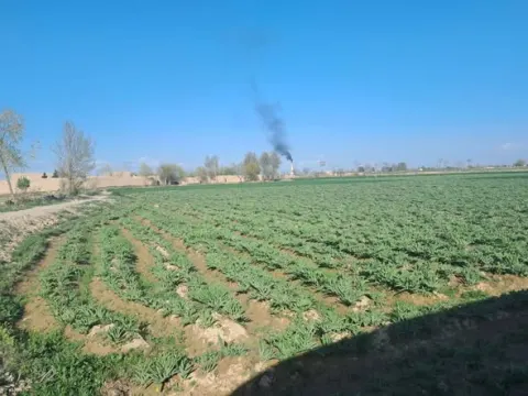 Walled farm land for sale, 10 jerib, Deh Razi, Balkh district