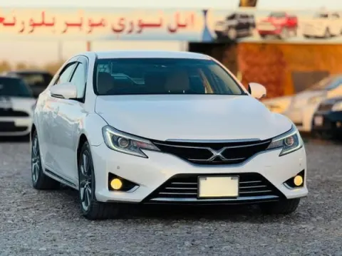 2012 Premium Mark X for Sale