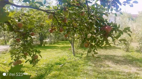Garden for sale, 10 biswa, near Qasr Tapa, Paghman