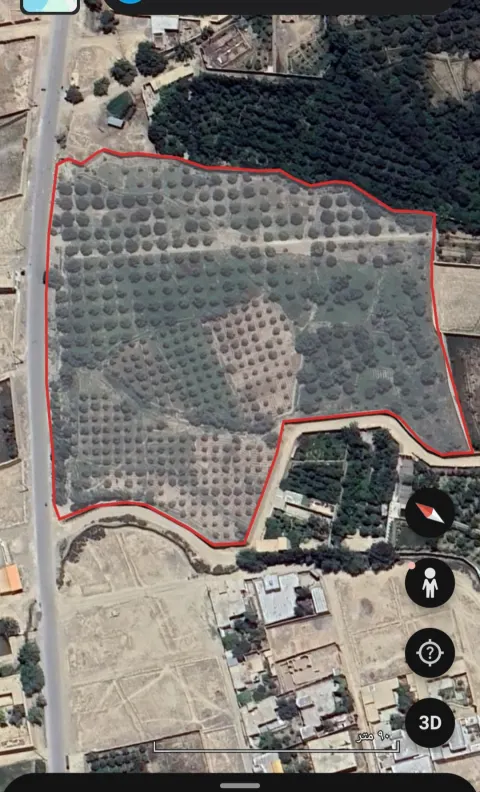 Apple orchard for sale, 6 jerib, Chehelten Karizak, Paghman