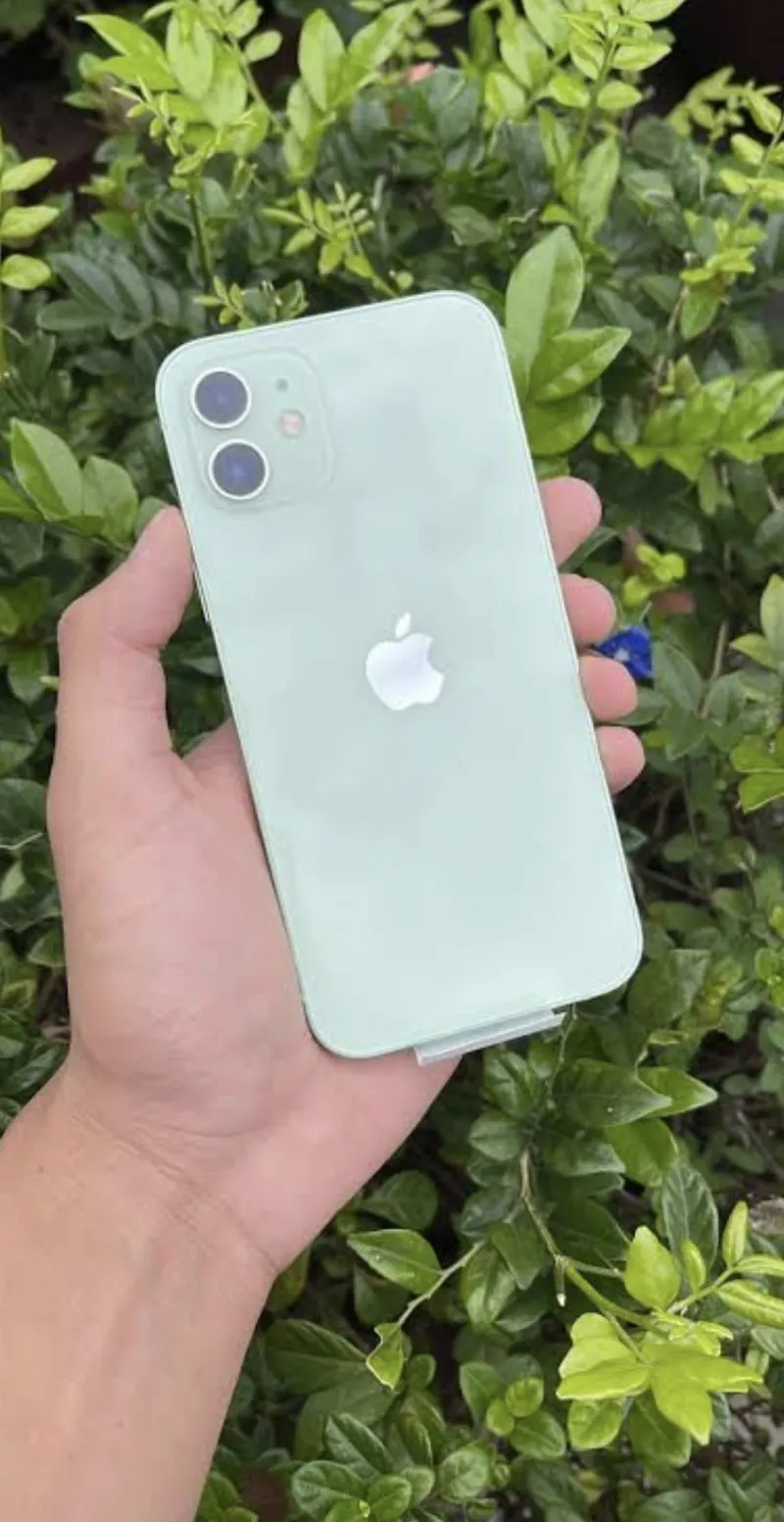 iPhone 12