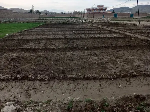 Farm land for sale, 7 biswa, Khairabad, Char Asiab, District 20