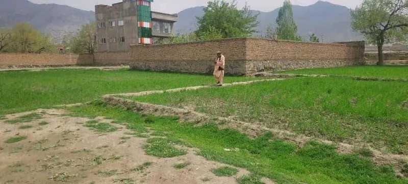 4 Biswa Land, District 7, Kabul