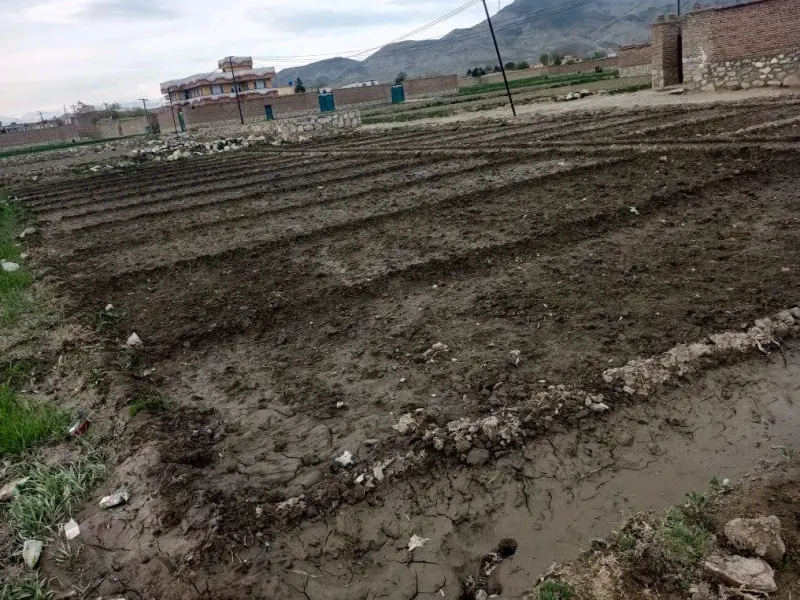 7 Biswa Land for Sale in Charasiab, Kabul