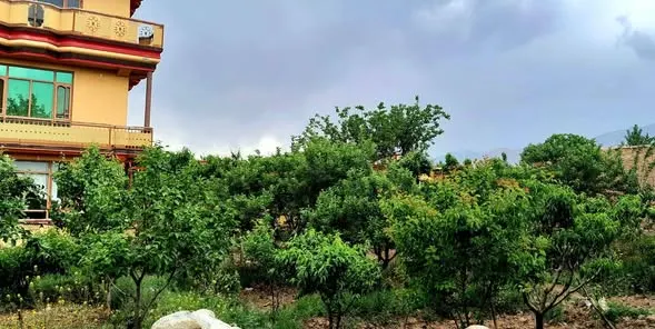 3-storey house with garden and vineyard for sale, Haji Bakhshi, Shakardara, Kabul