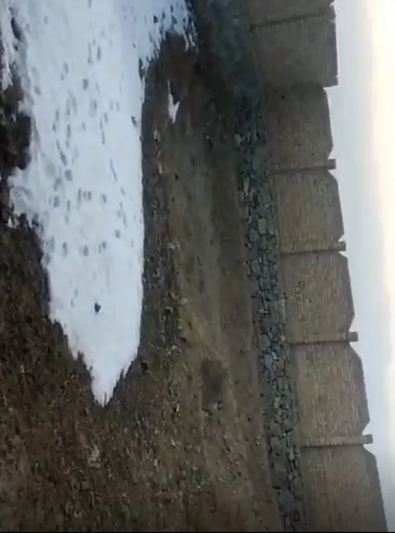 Walled land for sale, 3 biswa, Dasht-e Padwala, Chehelsotoon