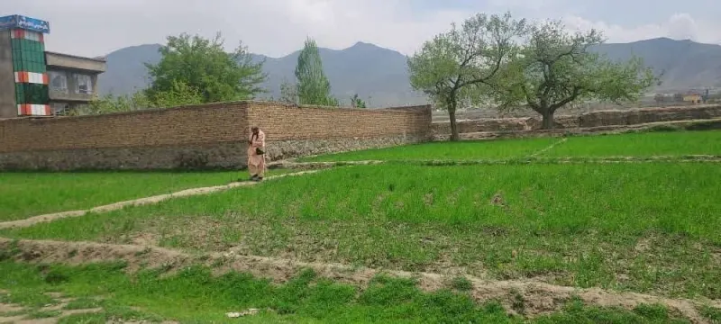 4 Biswa Land, District 7, Kabul