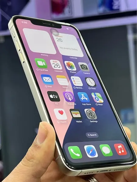iPhone Xs Max (Shaped as 15 Pro Max)