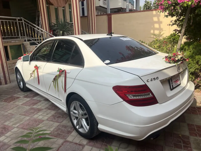 Benz 2014