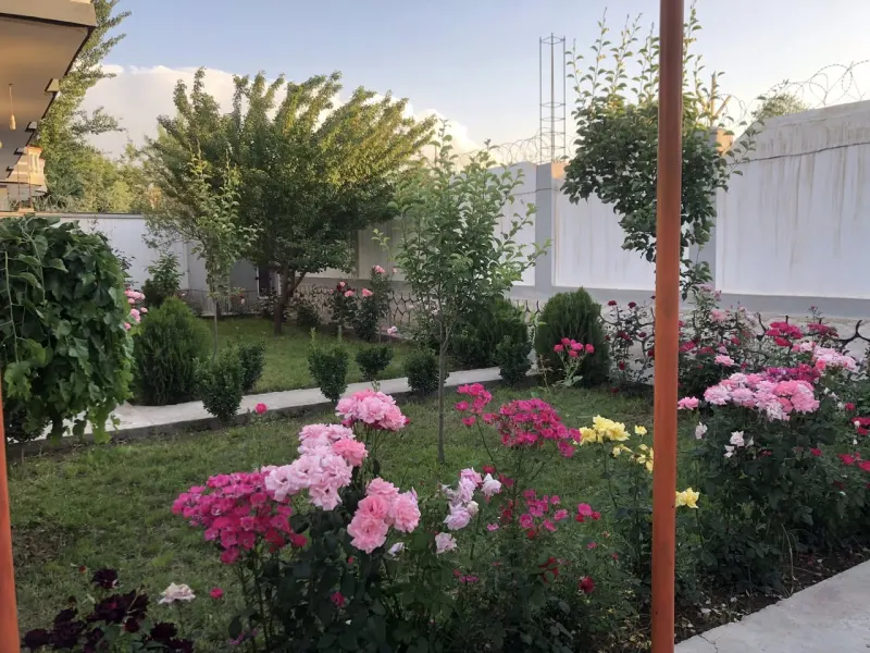 House for sale, 3 rooms, with separate guest house