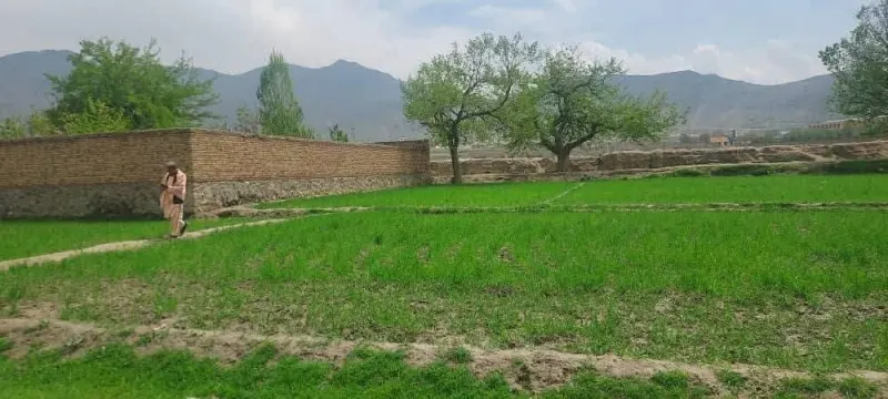 4 Biswa Land, District 7, Kabul