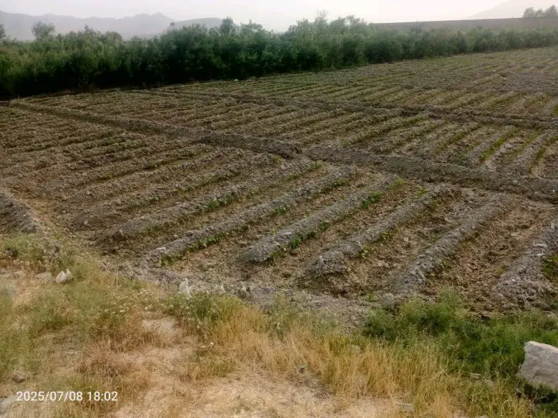 9.5 Biswa Land for Sale in Charasiab, Kabul