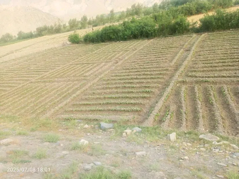 9.5 Biswa Land for Sale in Charasiab, Kabul