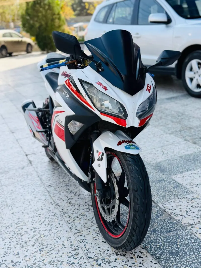 Kawasaki Ninja 300 2019