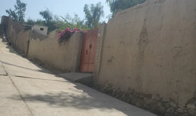 House for sale, 5 rooms, 550 m²