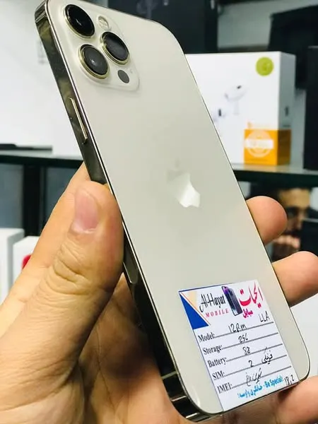 iPhone 12 Pro Max - Dual SIM, 256GB