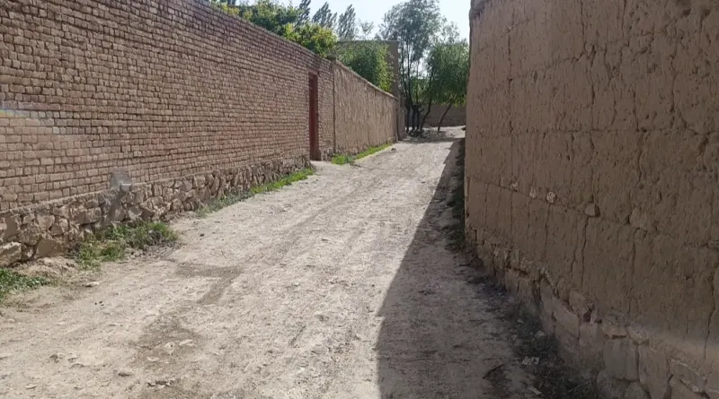 Garden for sell