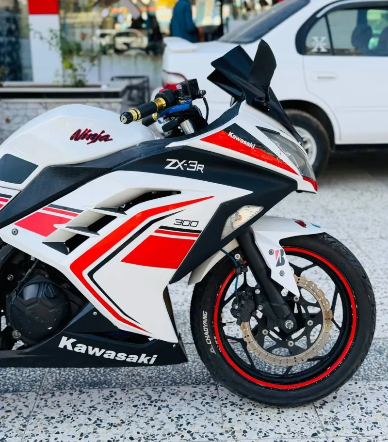 Kawasaki Ninja 300 2019