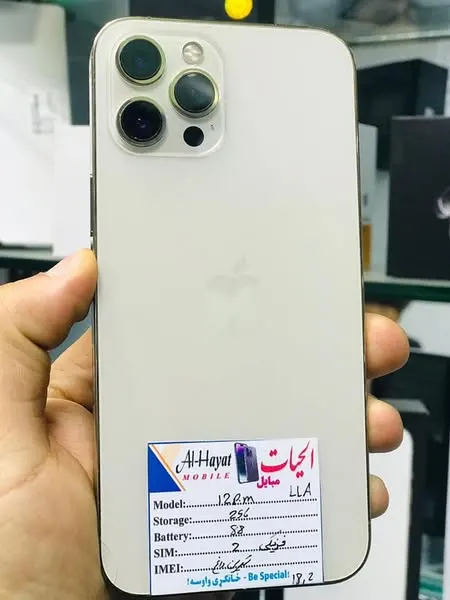 iPhone 12 Pro Max - Dual SIM, 256GB