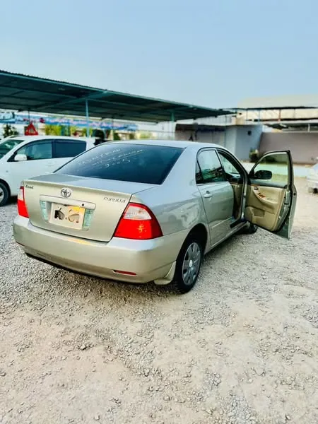 Toyota Corolla Luxel 2005