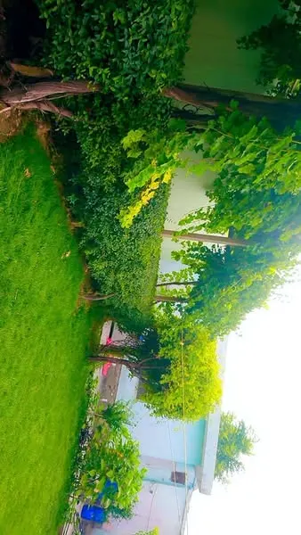 House for sale, 8 rooms, 800 m², Qabil Bai
